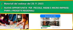 SLIDE del 28.11.23 webinar 