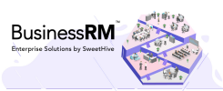 BusinessRM: lo Smart Workplace Digitale per gestire la tua Rete di Imprese